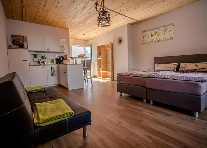 Апартаменты 11/ Terrasse / Innenstadt